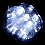 Projecteur Solaire Extérieur, Éclairage de Jardin et Piscine, Double Usage, Étanche IP65, LED Solaire