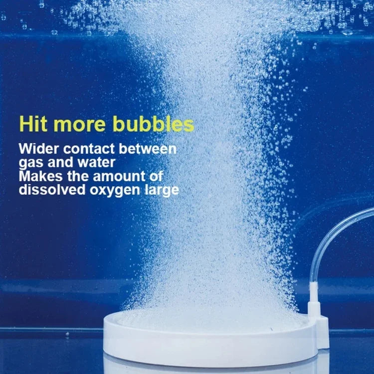 Pierre à Bulles Nano Air Disque Pompe à Oxygène pour Aquarium, 45mm, 50mm, 100mm, 150mm, 200mm