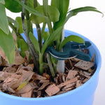 Ensemble de clips de jardin en plastique, 5 ensembles