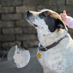 10 porte-clés en émail avec empreintes de pattes de chat, chien et ours pour la création de bijoux