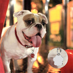10 porte-clés en émail avec empreintes de pattes de chat, chien et ours pour la création de bijoux