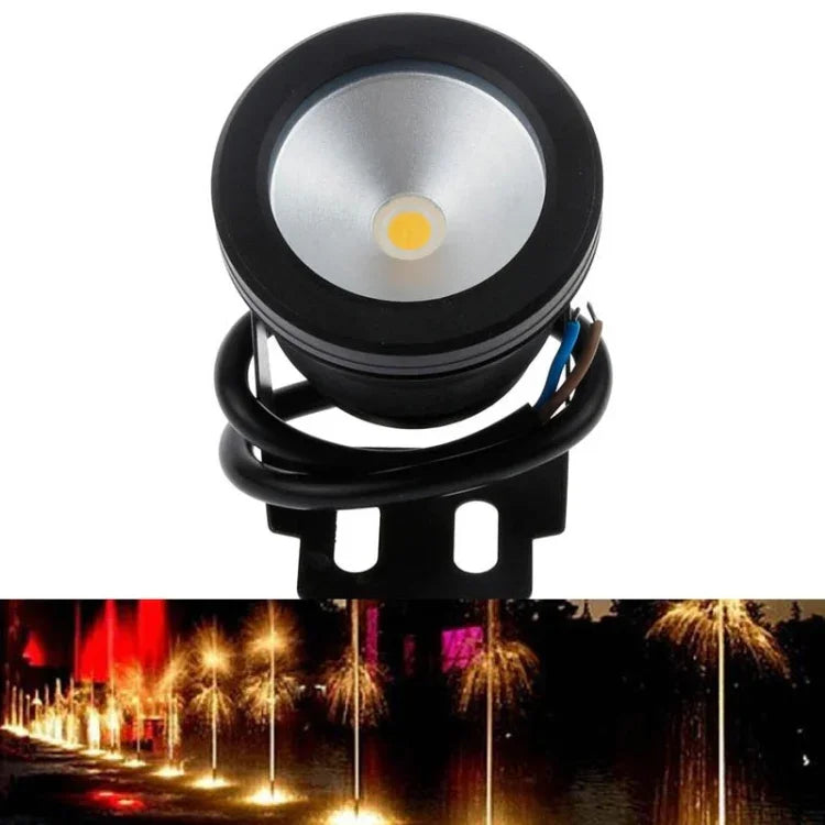 Projecteur submersible pour piscine 10W, projecteur submersible pour aquarium temporisé 12V DC, lumière blanc chaud, lumière blanche