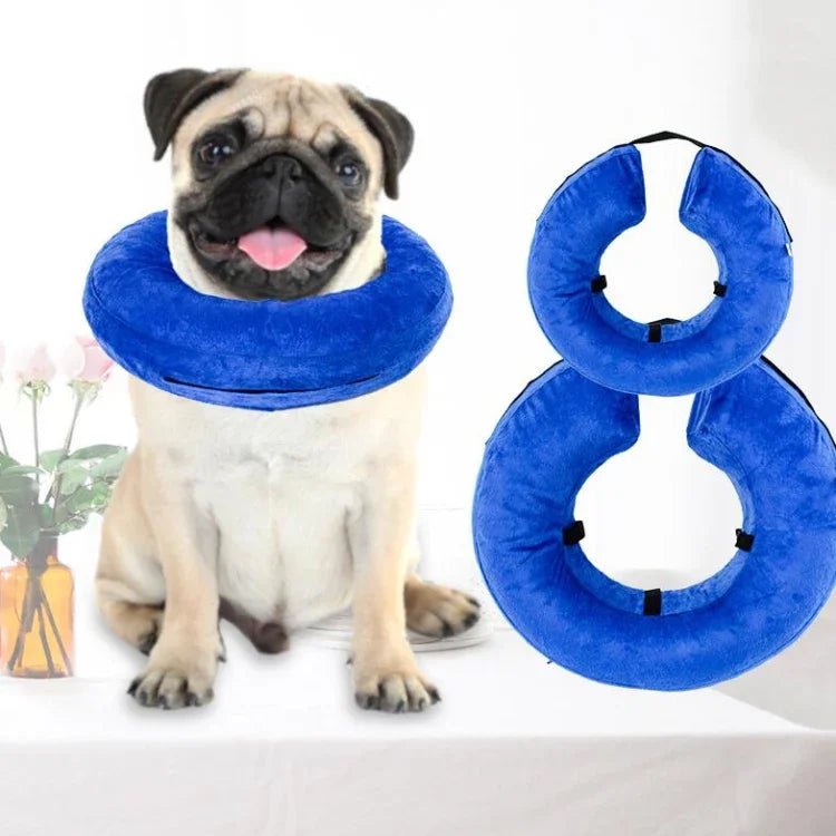 Collier pour chien PVC Collier gonflable anti-arrachage pour animaux, S, M, L, XL