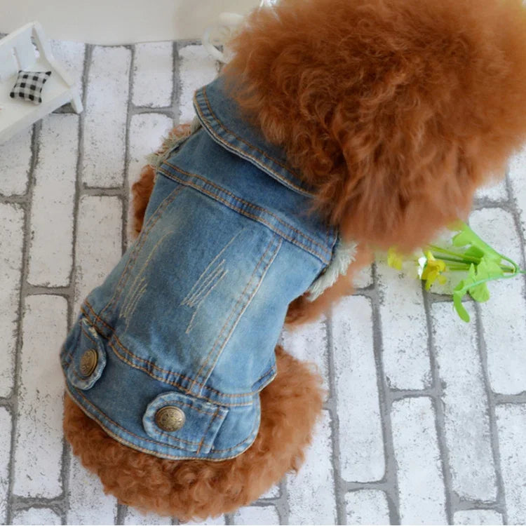 Veste en Jean Rétro Personnalisé Petit Gilet Vêtements pour Chiens Animaux, L, XL, XS, M