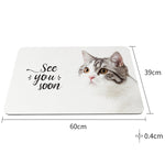 Tapis de salle de bain à séchage rapide, antidérapant et absorbant en terre de diatomées, 60 x 40 cm