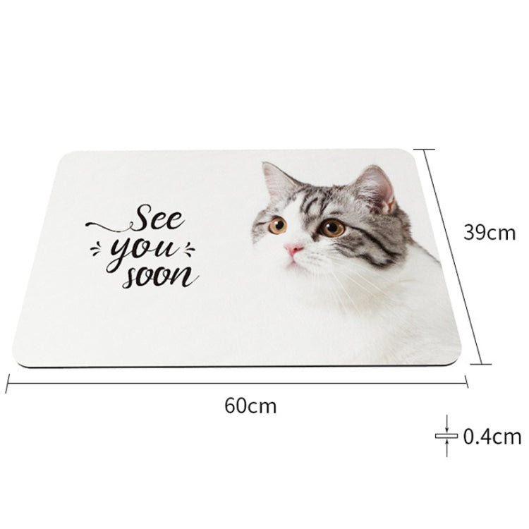 Tapis de salle de bain à séchage rapide, antidérapant et absorbant en terre de diatomées, 60 x 40 cm