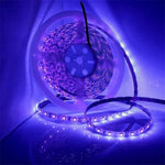 Bande lumineuse LED 2835 SMD UV violet, lampe décorative, étanche 5m, étanche 10m, carte nue 5m, carte nue 10m