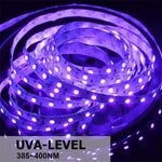 Bande lumineuse LED 2835 SMD UV violet, lampe décorative, étanche 5m, étanche 10m, carte nue 5m, carte nue 10m