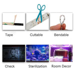 Bande lumineuse LED 2835 SMD UV violet, lampe décorative, étanche 5m, étanche 10m, carte nue 5m, carte nue 10m