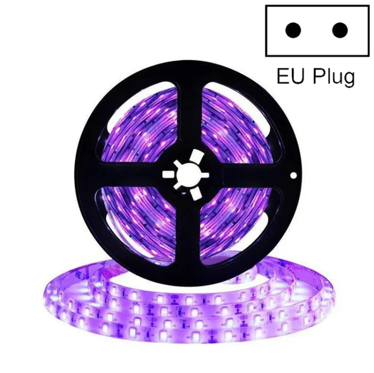 Bande lumineuse LED 2835 SMD UV violet, lampe décorative, étanche 5m, étanche 10m, carte nue 5m, carte nue 10m