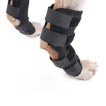 DogLemi PD60041 Orthèse de Jarret pour Chien, Attelle de Soutien Postérieur, Bandage de Compression pour Articulation de Patte Arrière, Protection des Blessures, S, M, L, XL