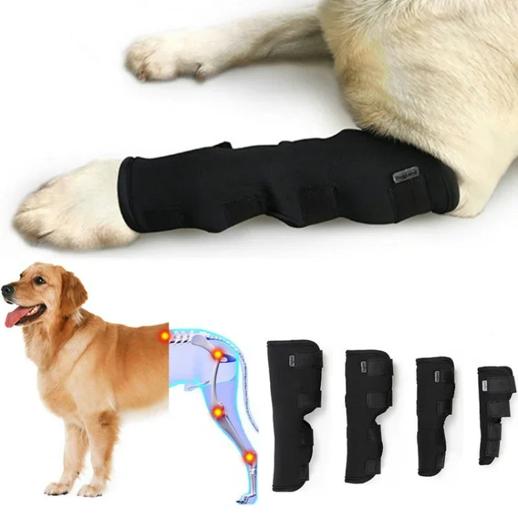 DogLemi PD60041 Orthèse de Jarret pour Chien, Attelle de Soutien Postérieur, Bandage de Compression pour Articulation de Patte Arrière, Protection des Blessures, S, M, L, XL