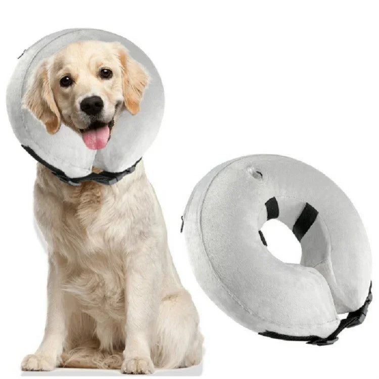 Collier Gonflable pour Animaux de Compagnie, Collier de Toilettage et de Protection Chaleureuse pour Blessures, M, L