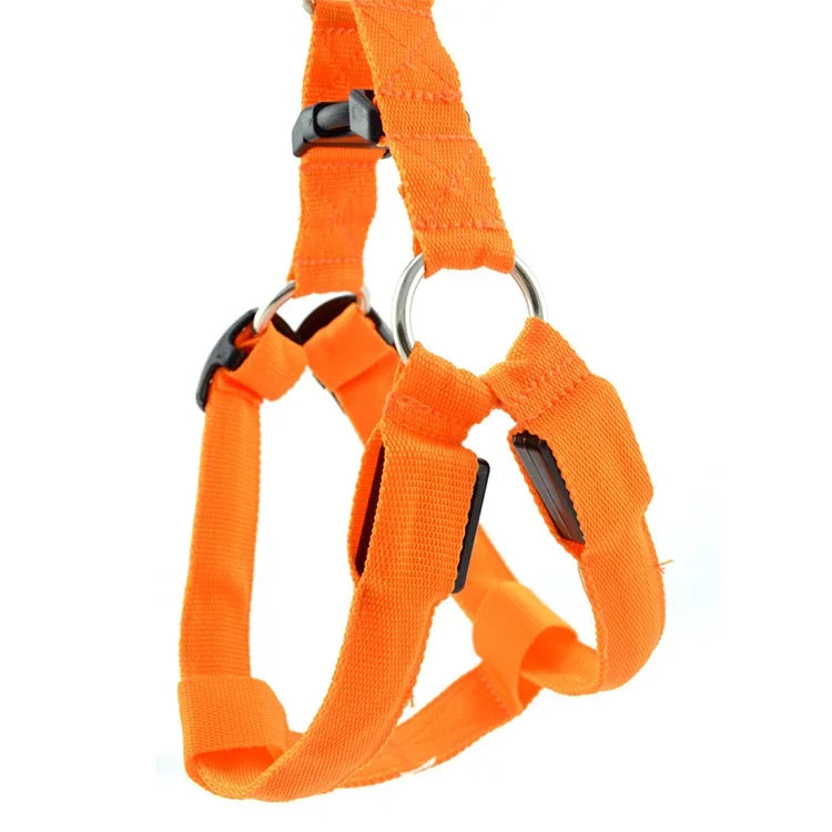 Double Sided LED Light Pet Harness Nylon Cat Dog Chest Strap Leash, S, M