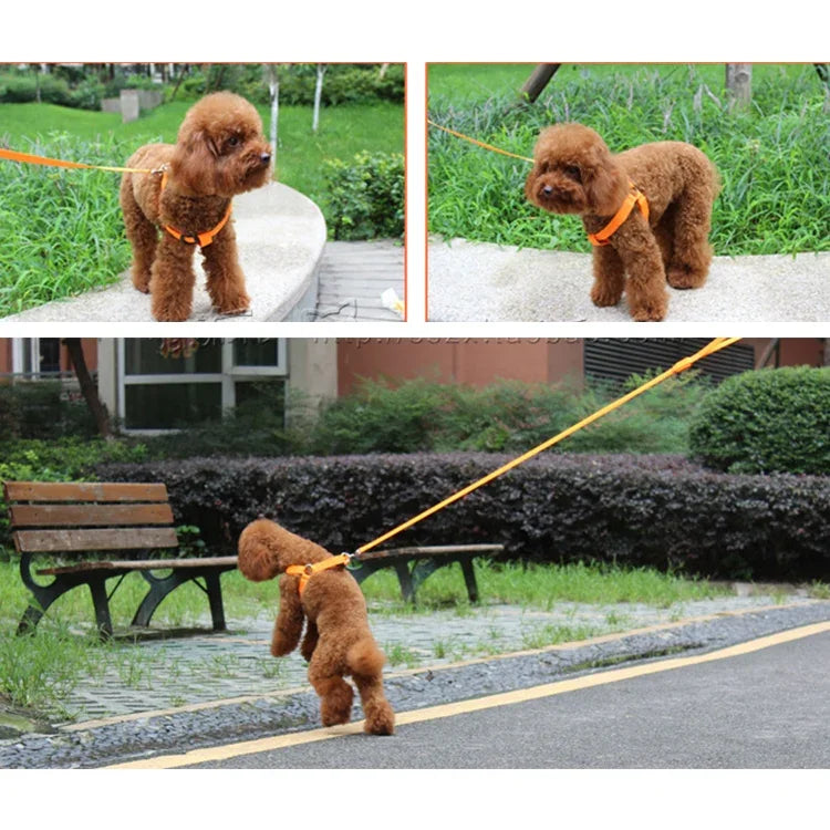 Double Sided LED Light Pet Harness Nylon Cat Dog Chest Strap Leash, S, M