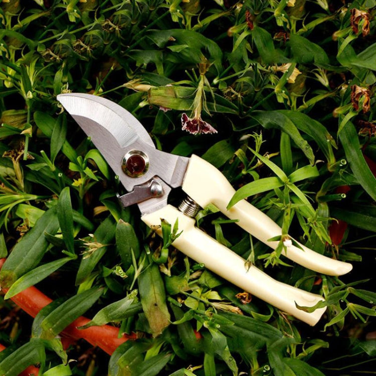 Outils de jardin Cisailles de taille en acier inoxydable Ciseaux pour arbres fruitiers Cisailles pour branches de jardin Livraison aléatoire de nouveaux et anciens emballages