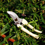 Outils de jardin Cisailles de taille en acier inoxydable Ciseaux pour arbres fruitiers Cisailles pour branches de jardin Livraison aléatoire de nouveaux et anciens emballages