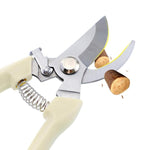 Outils de jardin Cisailles de taille en acier inoxydable Ciseaux pour arbres fruitiers Cisailles pour branches de jardin Livraison aléatoire de nouveaux et anciens emballages