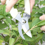 Outils de jardin Cisailles de taille en acier inoxydable Ciseaux pour arbres fruitiers Cisailles pour branches de jardin Livraison aléatoire de nouveaux et anciens emballages