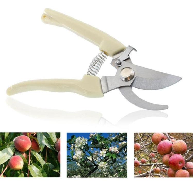 Outils de jardin Cisailles de taille en acier inoxydable Ciseaux pour arbres fruitiers Cisailles pour branches de jardin Livraison aléatoire de nouveaux et anciens emballages