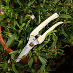Outils de jardin Cisailles de taille en acier inoxydable Ciseaux pour arbres fruitiers Cisailles pour branches de jardin Livraison aléatoire de nouveaux et anciens emballages