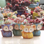 Pot de fleur charnu en céramique, mini pot pour succulentes, pot renard, livraison couleur aléatoire (sans plantes), pot renard