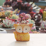 Pot de fleur charnu en céramique, mini pot pour succulentes, pot renard, livraison couleur aléatoire (sans plantes), pot renard