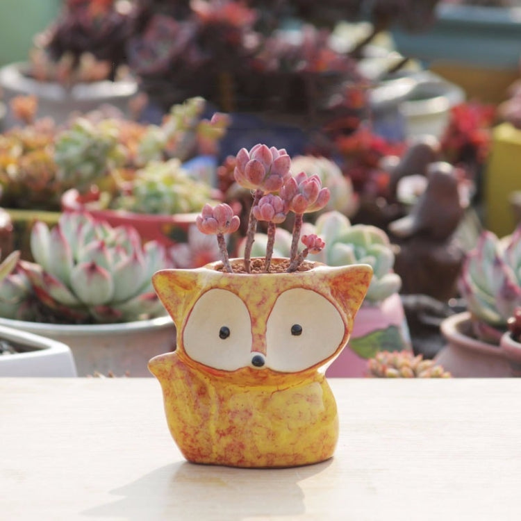 Pot de fleur charnu en céramique, mini pot pour succulentes, pot renard, livraison couleur aléatoire (sans plantes), pot renard
