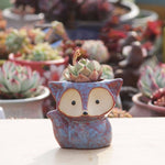 Pot de fleur charnu en céramique, mini pot pour succulentes, pot renard, livraison couleur aléatoire (sans plantes), pot renard