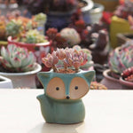 Pot de fleur charnu en céramique, mini pot pour succulentes, pot renard, livraison couleur aléatoire (sans plantes), pot renard