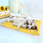 Tapis de couchage épais et chaud pour animaux de compagnie, pour chats et chiens, L, XL