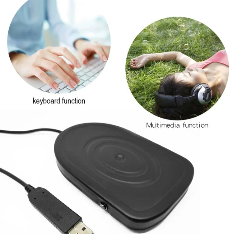 Pédale de commande USB Pcsensor, adaptateur de clavier pour ordinateur, FS2016, FS2019