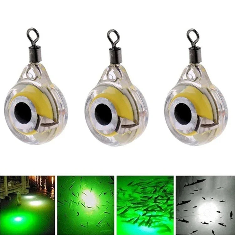 Lampe LED de pêche sous-marine, yeux de poisson, blanche, rouge, bleue, verte