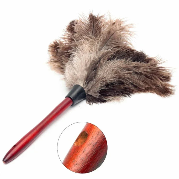 Plumeau à manche en bois antistatique, collecteur de poussière pour maison et voiture, collecteur de poussière