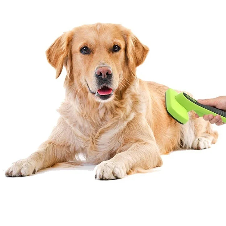 Peigne anti-poils automne pour animaux, brosse de toilettage pour chien, fournitures de nettoyage, vert