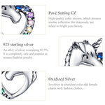 Boucles d'oreilles clous en argent Boucles d'oreilles en argent Zircon coloré Boucles d'oreilles clous en argent, SCE611