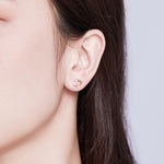Boucles d'oreilles en argent sterling avec zircon, plaquées or rose en forme de cœur, SCE090-C