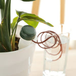 6 ensembles de dispositif d'arrosage automatique pour fleurs en pot, 6 ensembles