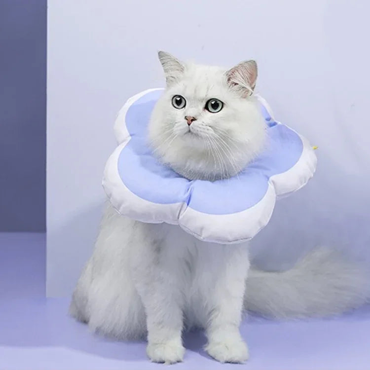 Collier de protection anti-léchage pour animaux en forme de fleur, L, S, M