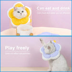 Collier de protection anti-léchage pour animaux en forme de fleur, L, S, M