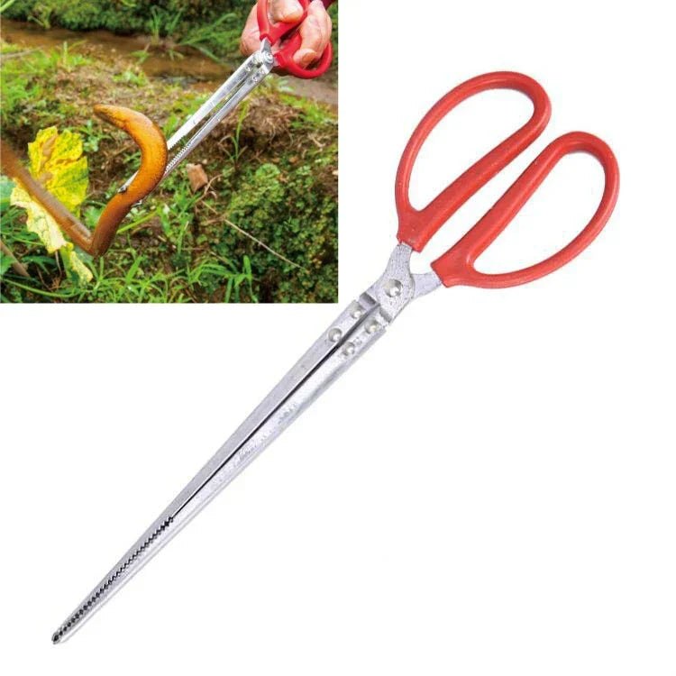 Pince à anguille, pince à homard, pince à crabe, pince à loche, pince de contrôle du poisson, pince à déchets, droite 38 cm, droite 52 cm, droite 62 cm, coudée 38 cm, coudée 52 cm, coudée 62 cm