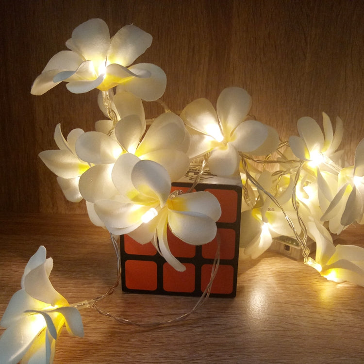 Guirlande lumineuse LED DIY créative 1,5m 10 LED blanc chaud à piles, fleurs de frangipanier, éclairage de fête, décoration de chambre