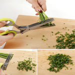 Ciseaux de cuisine 5 lames pour herbes, basilic, romarin, oignon vert, ail, persil