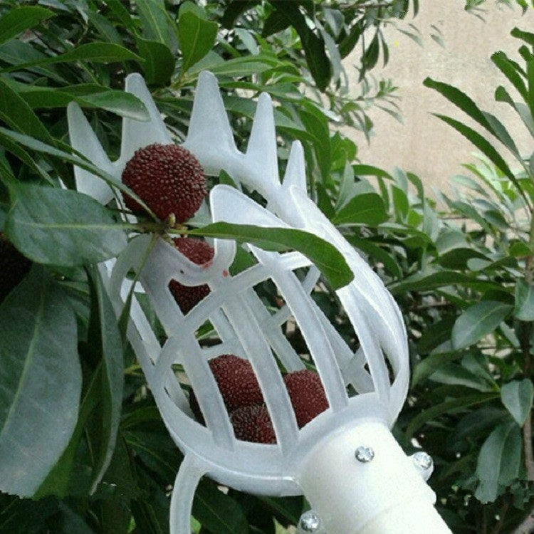 Outil en plastique pour cueillir prunes, dattes, abricots, 20cm