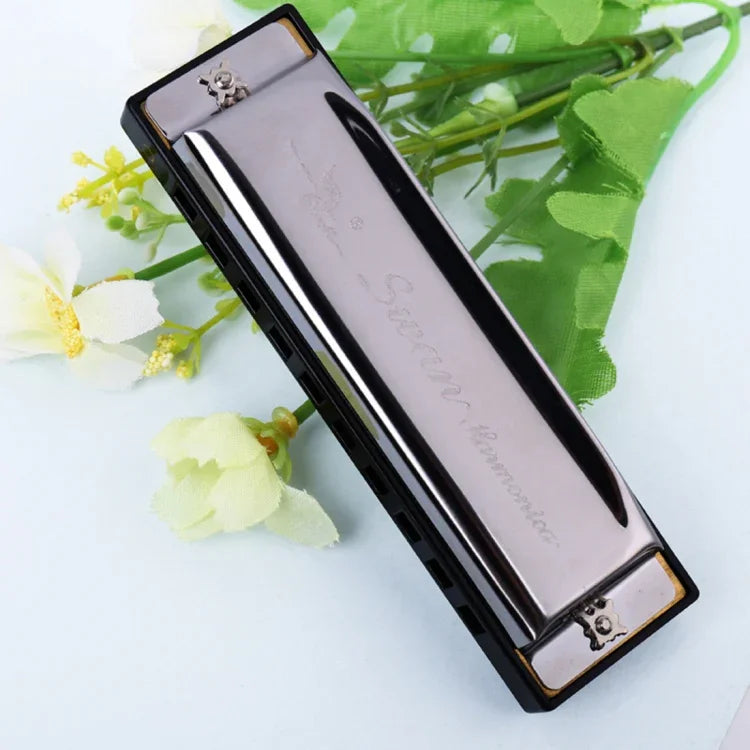 Harmonica Bruce Swan 2 pièces 10 trous, taille standard, pour débutants, enfants, adultes et étudiants.
