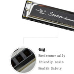 Harmonica Bruce Swan 2 pièces 10 trous, taille standard, pour débutants, enfants, adultes et étudiants.