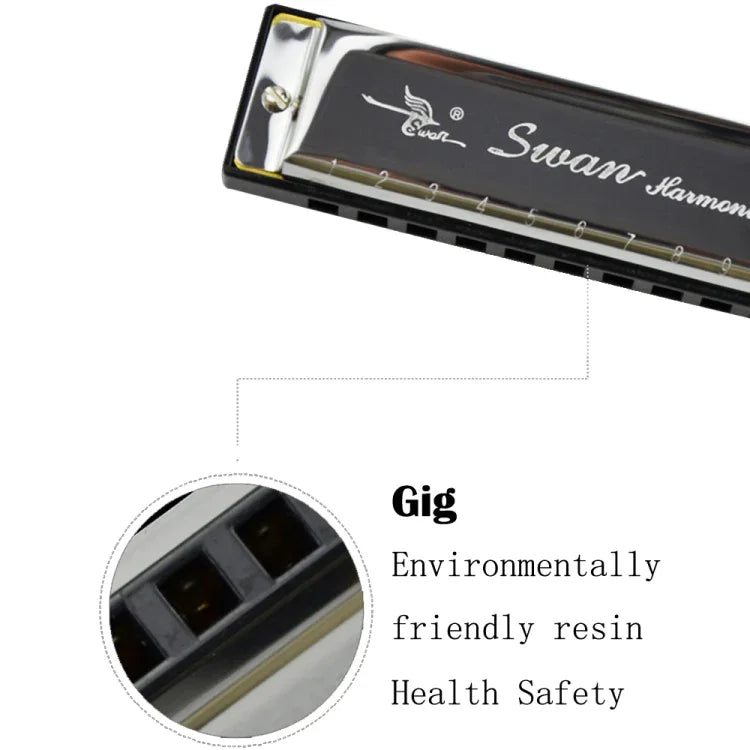 Harmonica Bruce Swan 2 pièces 10 trous, taille standard, pour débutants, enfants, adultes et étudiants.