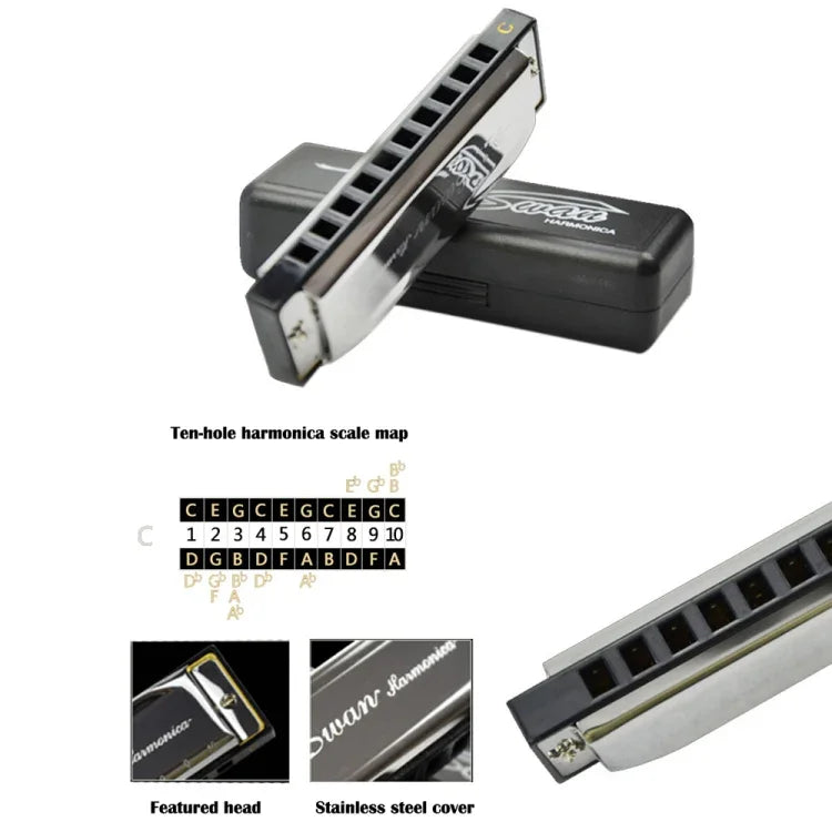 Harmonica Bruce Swan 2 pièces 10 trous, taille standard, pour débutants, enfants, adultes et étudiants.