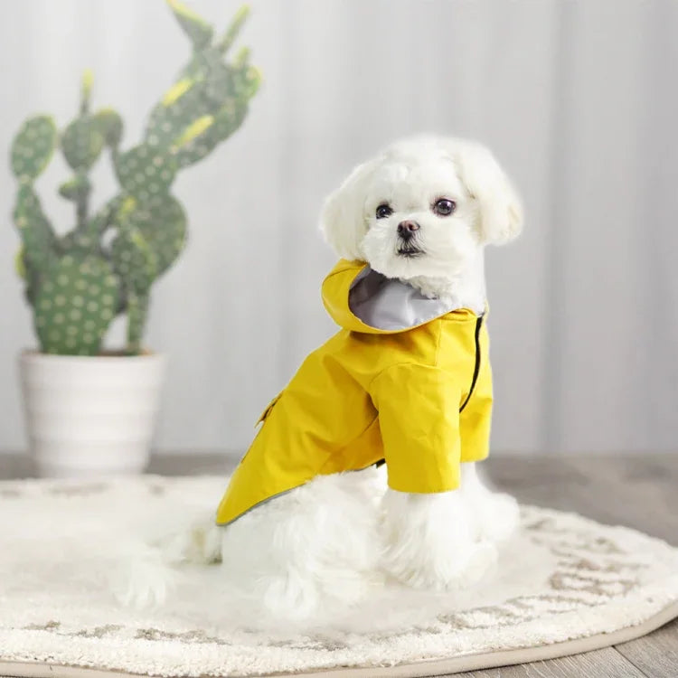 Imperméable pour chien à capuche quatre pattes, vêtements imperméables tout compris pour petits chiens, S, M, L, XL, XXL