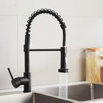 Robinet de cuisine avec valve de réservoir d'eau chaude et froide, modèle noir, modèle galvanoplastie, modèle brossé